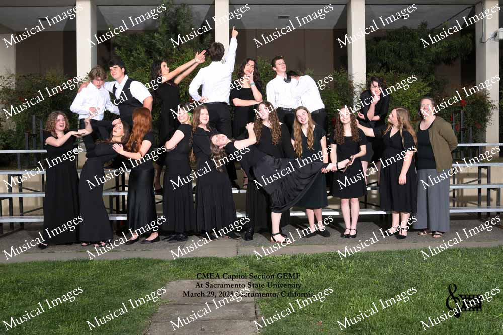 Musical Images